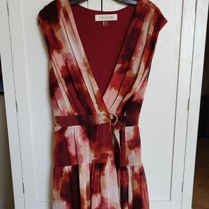 Taylor Women's Vibrant Red and Pink Maxi Dress